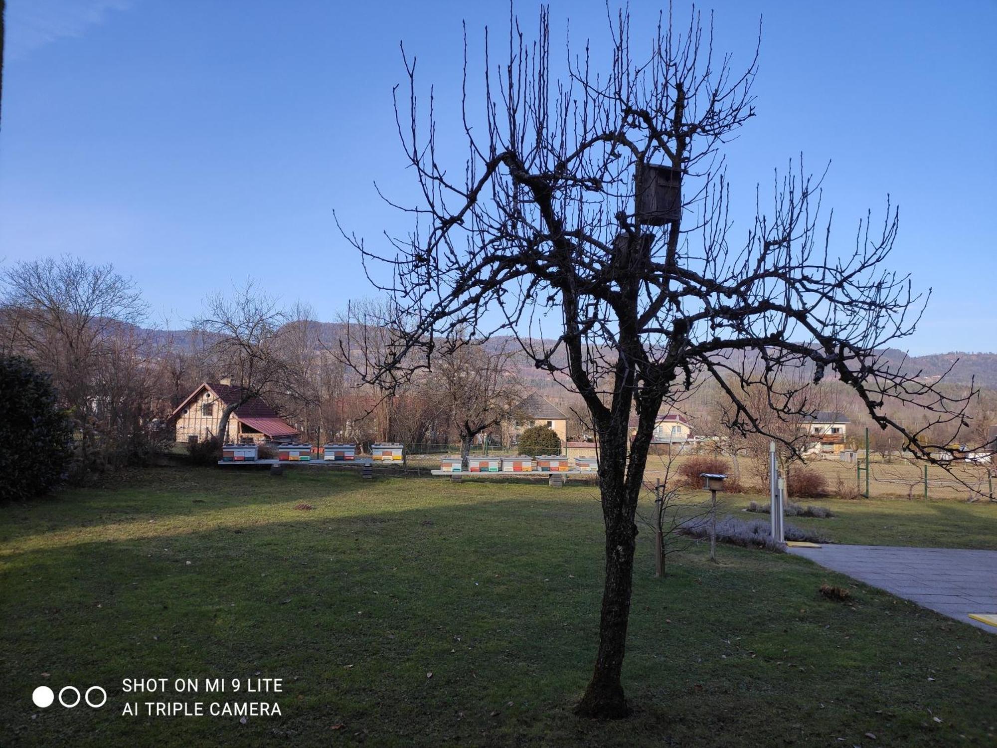 Nice Small House In Beautiful Carinthia Feistritz im Rosental Exterior photo